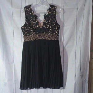 Heartloom Anthropologie Illusion Black sheer and lace fit & flare pleated dress